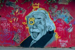 se gratter la langue einstein se grattait-il la langue