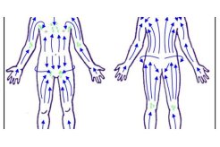 Se brosser à sec - suivre le système lymphatique Sens à respecter du brossage à sec, celui du système lymphatique